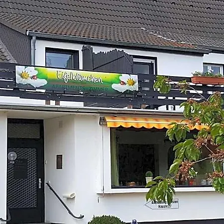 Eifelbluemchen Mini-hôtel *