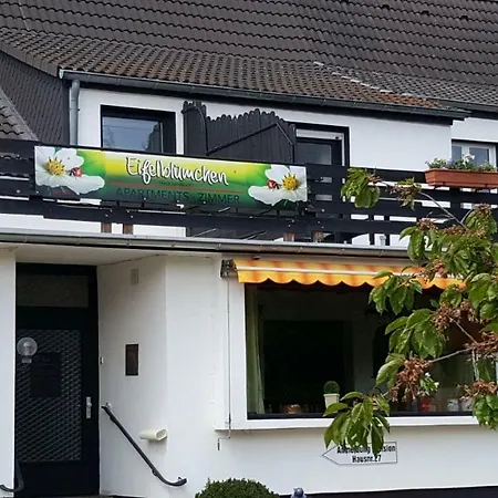 イン Eifelbluemchen ハイムバッハ