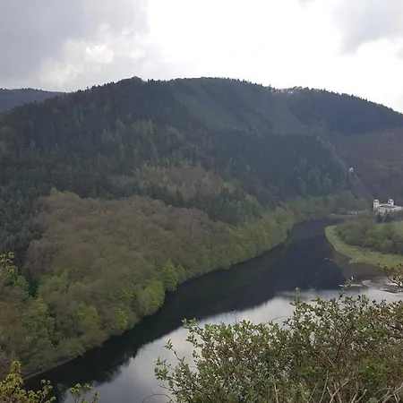 Eifelblümchen